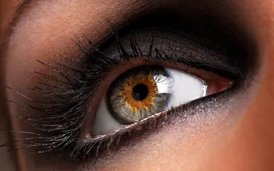 Как цвет глаз влияет на характер —