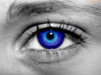Ярко синий глаз обои для рабочего стола скачать бесплатно 1024x768
