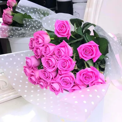 Ярко розовые розы фото фотографии