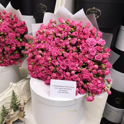 Букет из 25 ярко-розовых роз - Эквадор - купить цветы с доставкой по Москве  и МО от 5290 руб | «Букет-Маркет»
