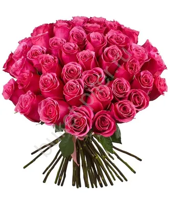Букет из 19 ярко-розовых роз 50 см - Арт. 6144