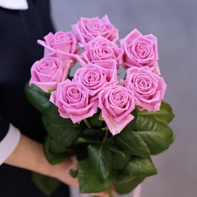 Прекрасные розы в формате JPEG | Ярко розовые розы Фото №650795 скачать