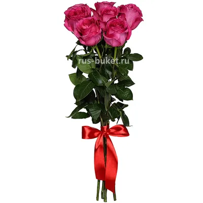 Розы ярко-розовые 25шт 50см (Россия) от интернет-магазина Цветландия 24