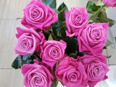 Купить Букет из ярко розовой розы «Экокулек гоча» за 4 500 руб. в  Красноярске