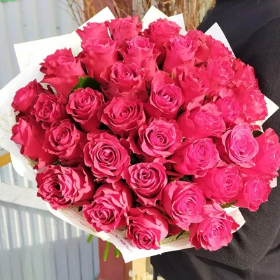 ярко-розовые розы цветы, которые приносят радость Стоковое Изображение -  изображение насчитывающей утеха, цветки: 254772867