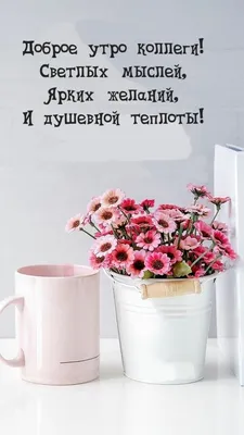 Утра - доброго, утра - нежного! Дня красивого и безмятежного! | Fun diy  crafts, Apple wallpaper, Fun diys