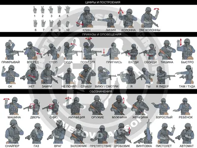 Язык жестов спецназа в картинках - о чем говорят во время боя?