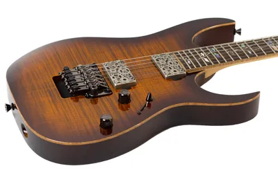 Thunder Road Guitars - Used Ibanez J Custom RG20126 BGA Brown Garnet Shadow