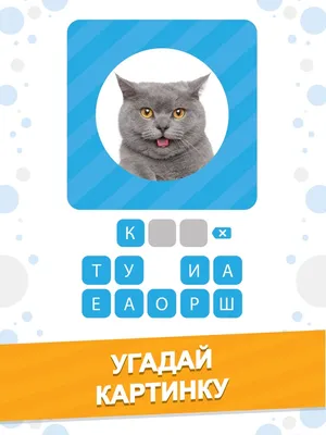 App Store: 101 Картинка : Фото Викторина