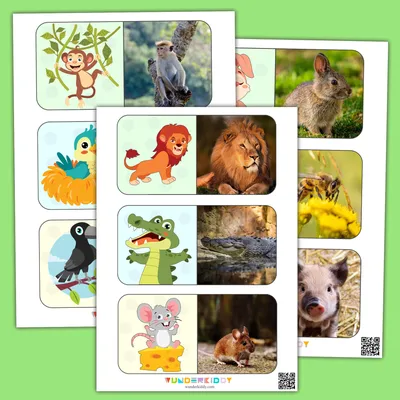 Дидактическая игра «Найди животных» – распечатать PDF