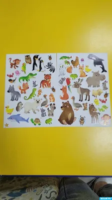 Настольная игра \"Угадай животное\" — Каталог — Toyskingdom.ru - магазин  игрушек