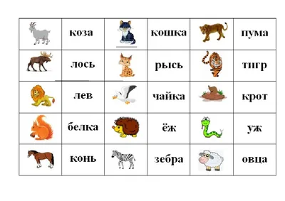 Noriel NOR5458 Развивающая игра Угадай! Моё животное купить в Молдове,  Кишиневе - Baby-Boom.md