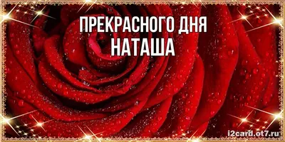 Звезда по имени Наташа (Наталия Махровская) / Стихи.ру