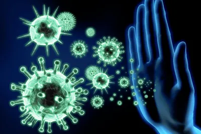 Как можно быстро поднять свой иммунитет?