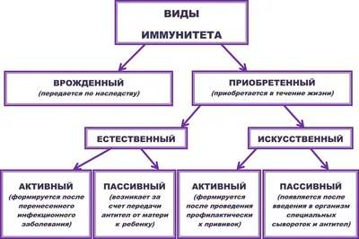 Наибольший коллективный иммунитет к COVID-19 - в Могилевской области |  MogilevNews | Новости Могилева и Могилевской области