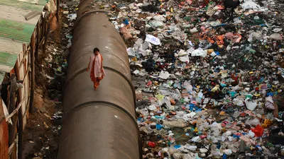 Насколько Индия преуспела в реализации экологических принципов | РБК Тренды