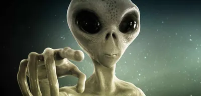 Мультсериал «Макс Грин и инопланетяне» – детские мультфильмы на канале  Карусель