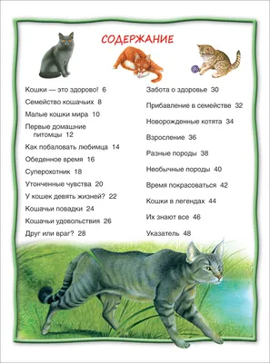 Книга из серии 100 фактов – Кошки и котята (Росмэн, 28108Ros) купить в  магазине детских игрушек Toy Way