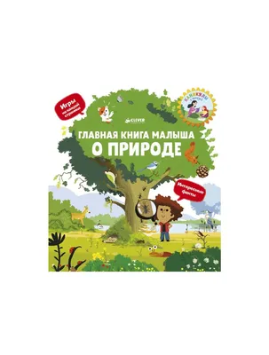 Россия. 1000 удивительных фактов купить книгу с доставкой по цене 1198 руб.  в интернет магазине | Издательство Clever