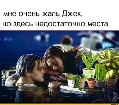 АНТ - Есть тут любители смотреть фильмы 🎞️? Да ❓ Ну тогда наша очередная  всеми полюбившаяся рубрика \"Угадай фильм\" для тебя ☝️ Посмотри 👀  внимательно на картинку 🖼️ и попытайся отгадать какой