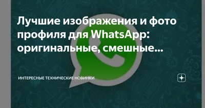 Рассылка WhatsApp — как ее эффективно использовать для бизнеса - Блог об  email и интернет-маркетинге