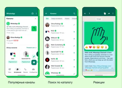 Пользователи WhatsApp смогут переносить чаты без облачного копирования -  Устинка Live