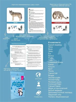 100 интересных фактов о животных