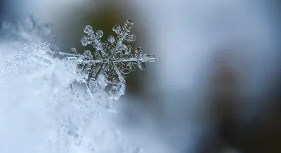 Зима 💖💫 | Обои и Прикольные Картинки Amino