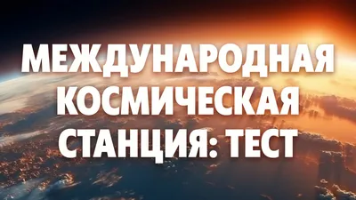 Интересные факты о сирени - полезная информация садоводу на заметку.