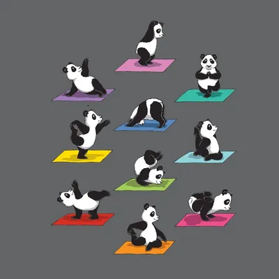 Животные занимаются йогой « FotoRelax | Dog doing yoga, Dog yoga, Dog  calendar