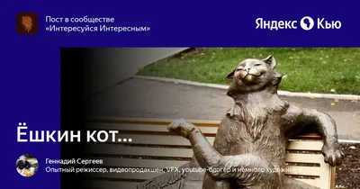 Строящийся приют \" Ёшкин Кот\"