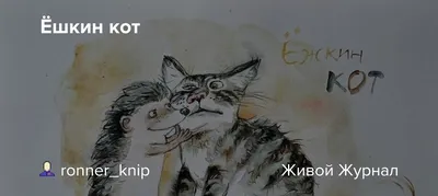 Наполнитель для кошачьего туалета Ёшкин кот - «\"Ёшкин кот\" - идеальный  силикагель для дома, где кот живёт! Сравнение разных наполнителей в  отзыве.» | отзывы