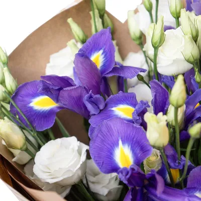 Синие ирисы с желтыми тюльпанами в коробке за 19 490 руб. | Бесплатная  доставка цветов по Москве