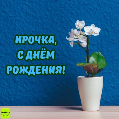 Photopodium.com - От всего сердца, поздравляем нашего дорогого друга, Ирочку  Тарасову с Днём Рождения! Здоровья, счастья и радости тебе, дорогая! Саша и  Лу.