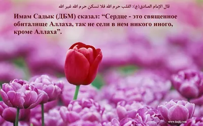 Исламские картинки с хадисами на русском