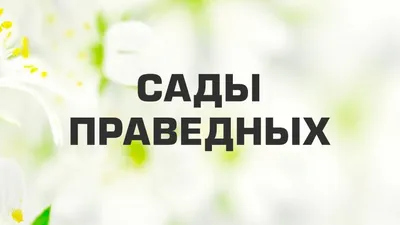 Пусть будет во благо , Ин шаа Аллах🤲🏻 #ислам#хадисы#корпн#напоминаниеверующим#исламскиймагазин  #дуанакаждыйдень | Instagram