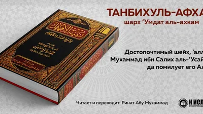 Кто может выносить решение из Корана и хадисов? Часть II | islam.ru