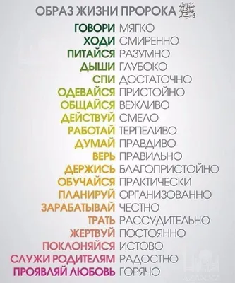 ⚠️Наказание за аморальное поведение в исламских странах.Полиция нравов всех  убережёт. | Ольга о Египте 🇪🇬 и не только | Дзен