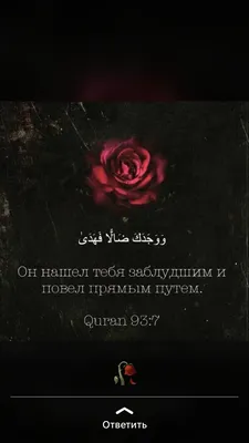 Со смыслом … #Напоминание себе и вам. #Коран #намаз#hijab #makkah #madinah  #namaz#Quran#Ислам #Умма #Мусульмане #Кавказ #saudiarabia… | Instagram