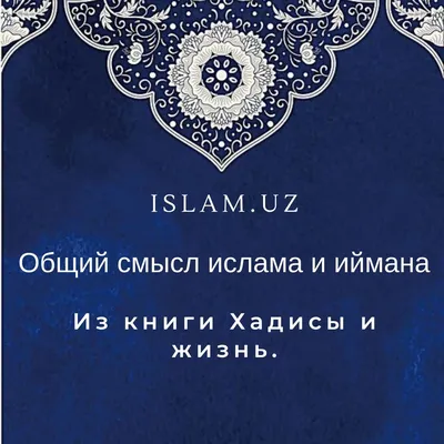Ислам - 🙏 религия мира и добра, цитаты из Корана on X:  \"https://t.co/Hh1xXo0dBx\" / X