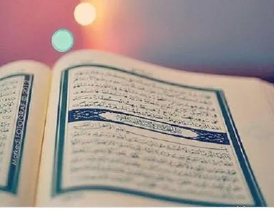 Коран. Прочтение смыслов | Фонд исследований исламской культуры - купить с  доставкой по выгодным ценам в интернет-магазине OZON (723910105)