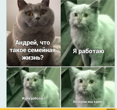 Кружка Printech \"Геймер,кот,прикол,юмор,с др\" 330мл - купить в Москве, цены  на Мегамаркет