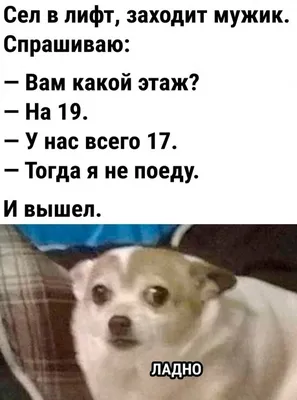 Подборка: смешных анекдотов картинок и преколов №1717. Смех, веселье,  позитив, юмор | Николай Орловский | Дзен