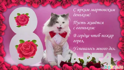 Поздравления с 8 Марта (прикольные открытки и картинки) | ВаликоВ.com
