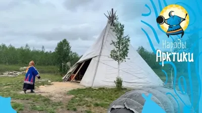 Nomad Yurts - В зависимости от формы купола, юрты кыргызов... | Facebook