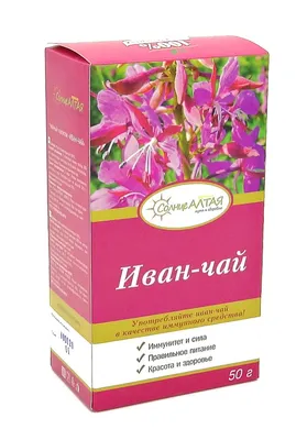 Иван-чай «с цветками кипрея»