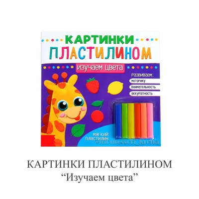 Книга Изучаем Домашних Животных - купить книги по обучению и развитию детей  в интернет-магазинах, цены на Мегамаркет |