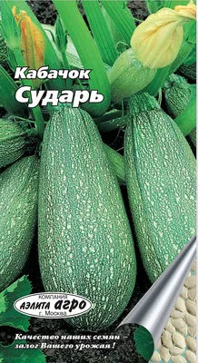 ✓ Семена Кабачок Поваренок, 2,0г, Гавриш, Семена от автора по цене 40 руб.  ◈ Большой выбор ◈ Купить по всей России ✓ Интернет-магазин Гавриш ☎  8-495-902-77-18