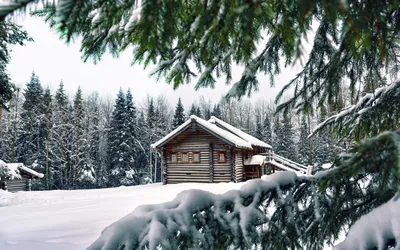 Зима, снегопад, очаровательная природа…» — создано в Шедевруме