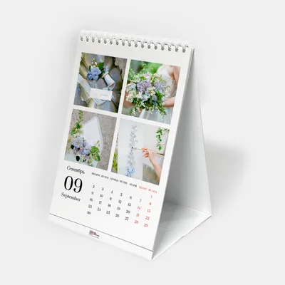 Мотивационный календарь 2024 \"Великие дела\" - купить для подарка, цена в  интернет-магазине Dreams